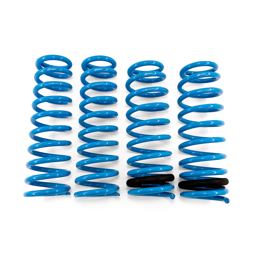 BLOX Racing Lowering Springs - 92-95 Civic/92-97 Del Sol