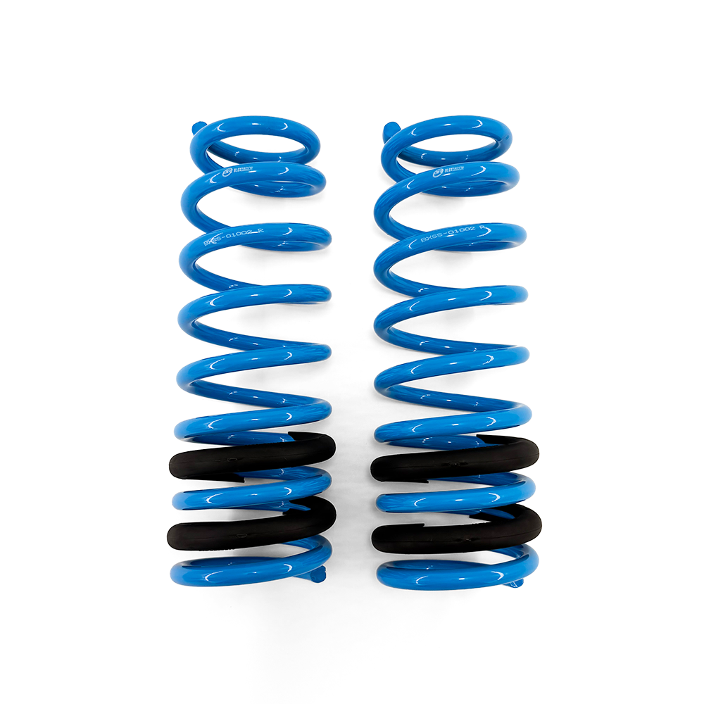 BLOX Racing Lowering Springs - 96-00 Civic