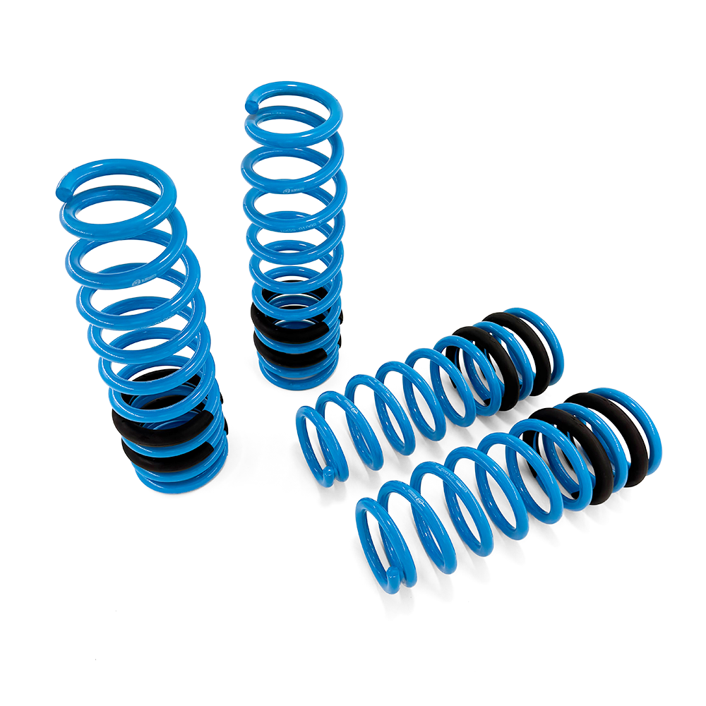 BLOX Racing Lowering Springs - 96-00 Civic