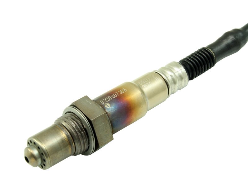 AEM Bosch UEGO Replacement Sensor - BLOX Racing
