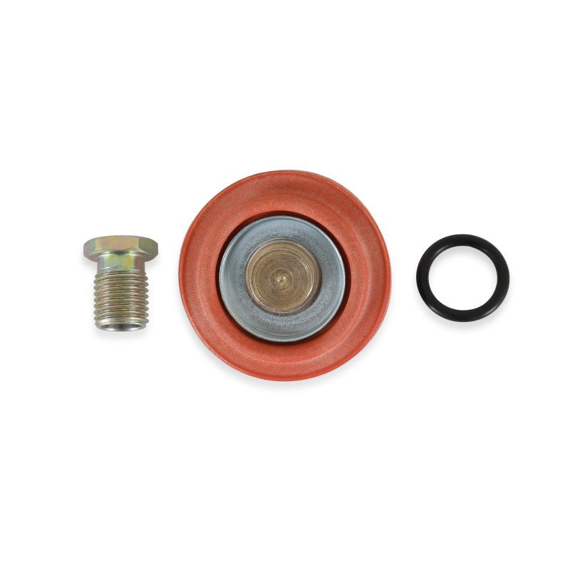 AEM Universal Fuel Pressure Regulator Rebuild Kit - BLOX Racing