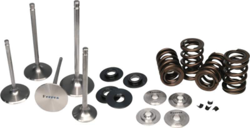 Ferrea 18 - 19 Ford Coyote 5.0L Beehive Valve Spring Kit - BLOX Racing