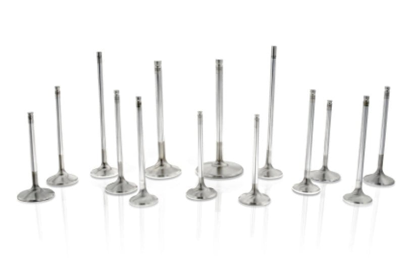Ferrea Toyota G16E - GTS 32.8mm Head 5.47mm Stem Dia Competition Plus Intake Valve - Set of 6 - BLOX Racing