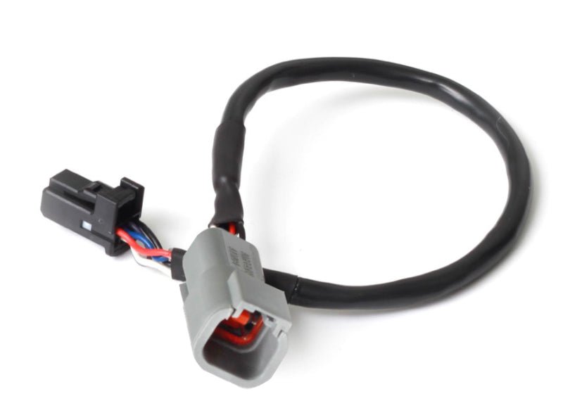 Haltech 3in CAN Adaptor Cable DTM - 4 Female Receptacle/Socket to 8 Pin Black Tyco - BLOX Racing