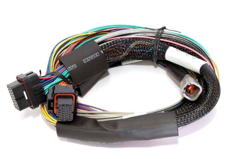 Haltech Elite 1500 8ft Basic Universal Wire - In Harness (No Relays or Fuses) - BLOX Racing