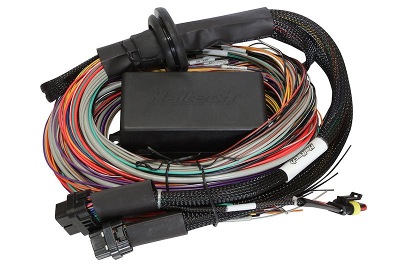 Haltech Elite 1500 8ft Premium Universal Wire - In Harness - BLOX Racing