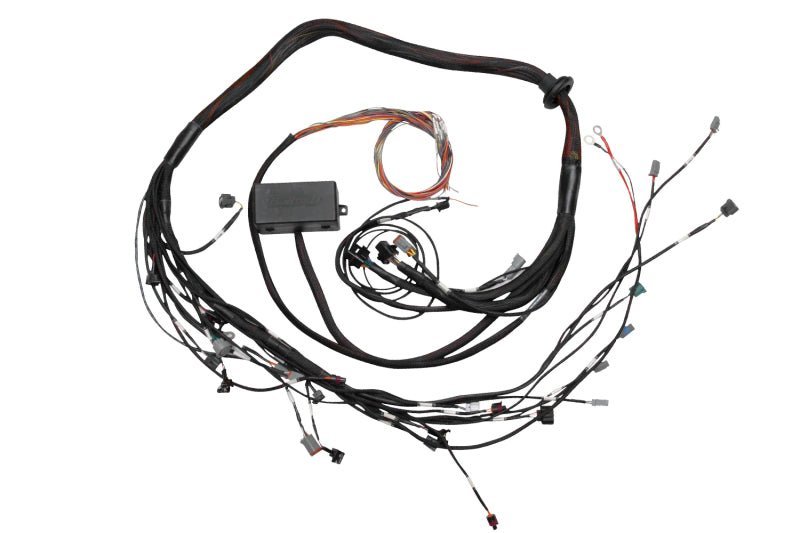 Haltech Elite 2000/2500 Terminated Engine Harness - BLOX Racing