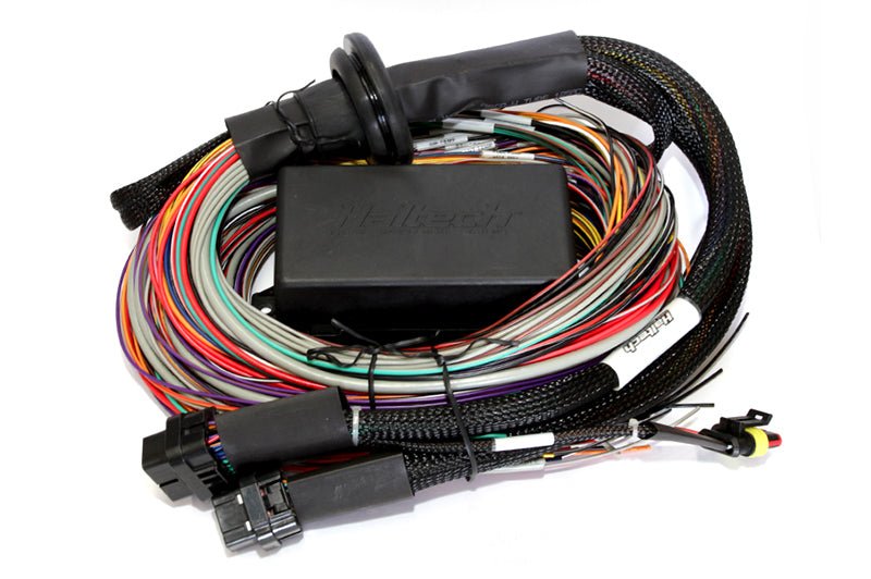 Haltech Elite 2500/2500 T 8ft Premium Universal Wire - In Harness - BLOX Racing