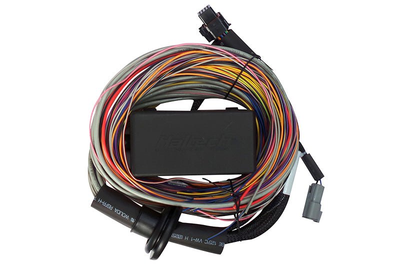 Haltech Elite 750 8ft Premium Universal Wire - In Harness - BLOX Racing