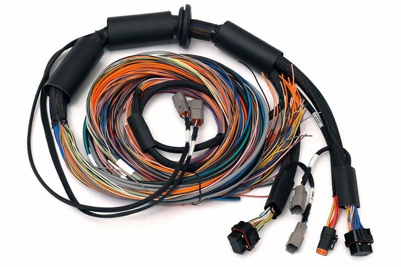 Haltech NEXUS R3 Universal Wire - In Harness - 2.5M (8ft) - BLOX Racing
