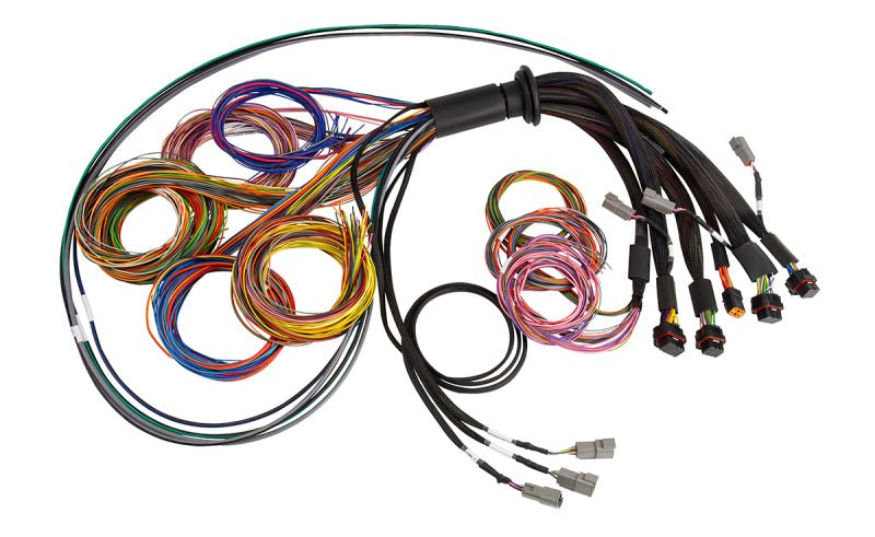 Haltech NEXUS R5 Universal Wire - In Harness - 2.5M (8ft) - BLOX Racing
