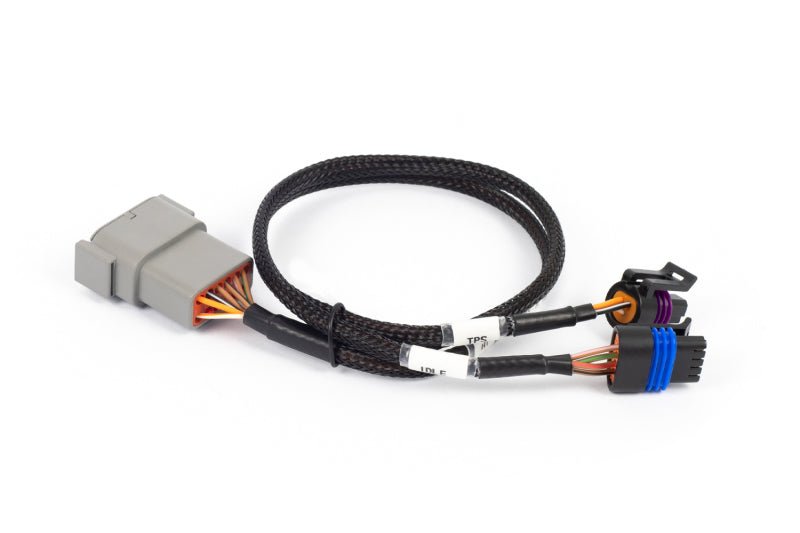 Haltech NEXUS Rebel LS Cable Throttle & IAC Sub - Harness - BLOX Racing