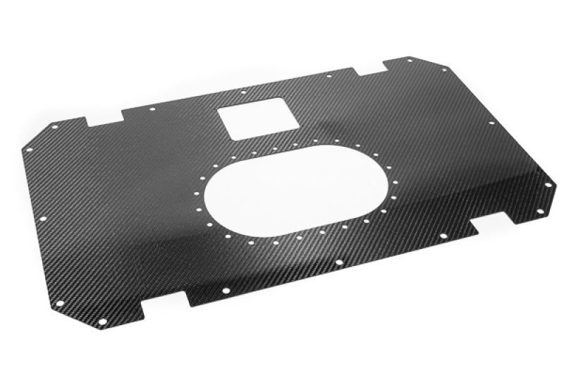 Radium Engineering Carbon Fiber Fuel Cell Lid - 10/14 Gallon - BLOX Racing