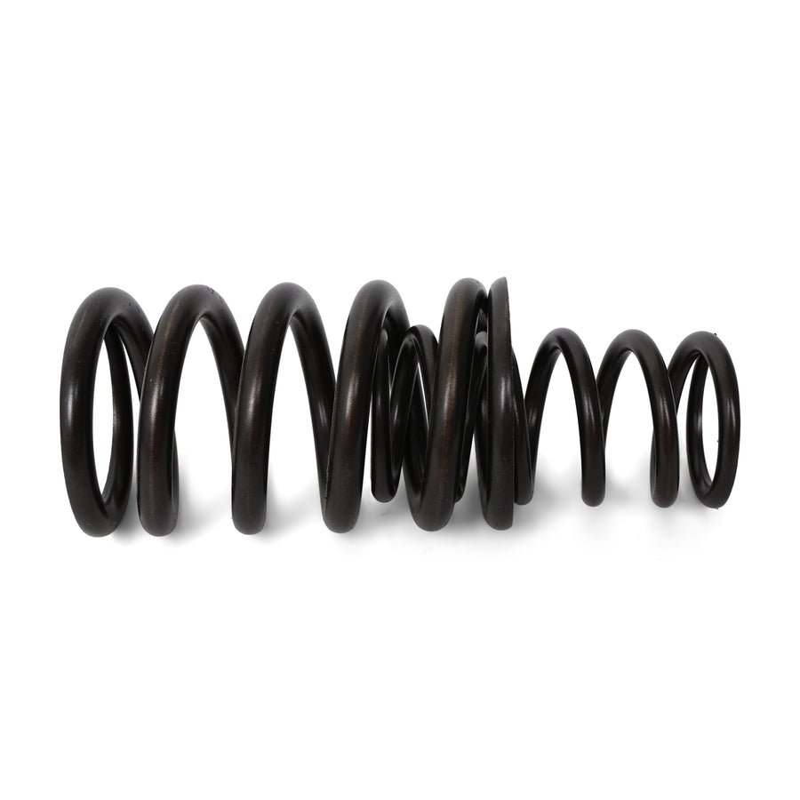 Valve Springs - F - Series DOHC VTEC - BLOX Racing