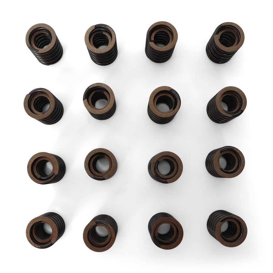 Valve Springs - F - Series DOHC VTEC - BLOX Racing