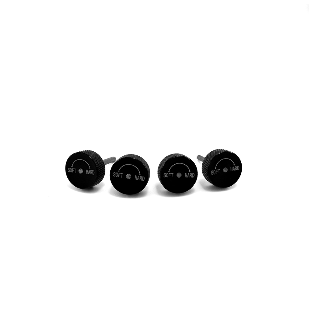 BLOX Racing Street Series II Plus Coilovers - 90-96 300ZX
