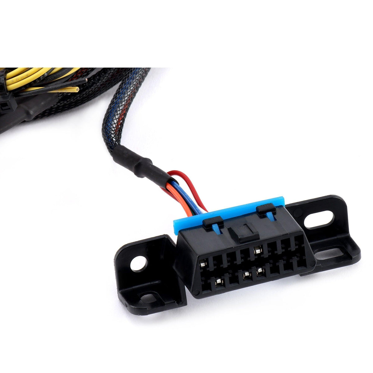 Hybrid Racing Universal K-Series Swap Conversion Wiring Harness - BLOX Racing